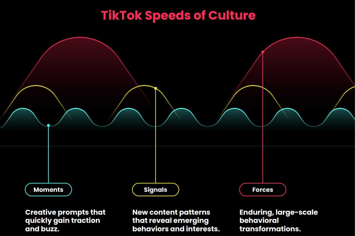 TikTok Speeds of Culture graph showing the differences between Moments, Signals, and Forces.